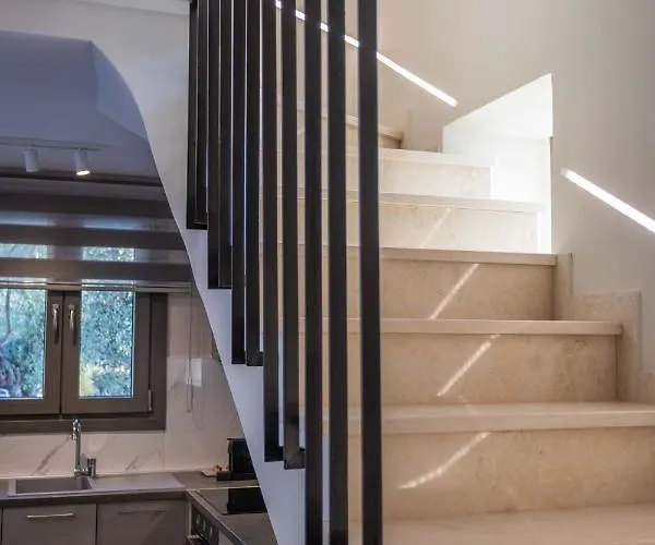 Elia Stone Vila