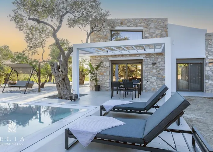 Elia Stone Vila *
