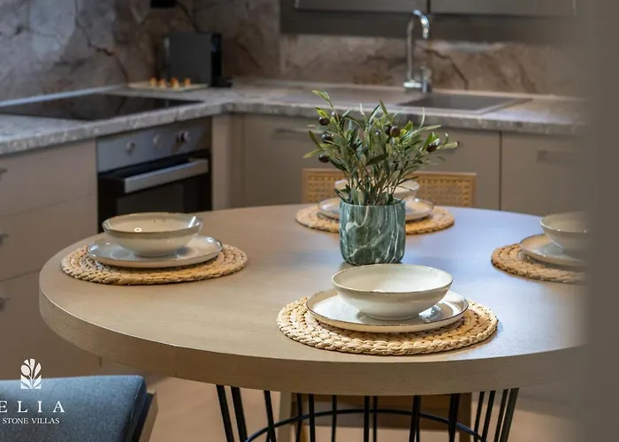 Villa Elia Stone Ormos Prinou (Thasos)