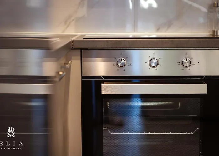 Elia Stone Ormos Prinou (Thasos)