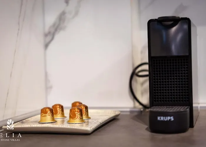 Elia Stone Villa Ormos Prinou (Thasos)